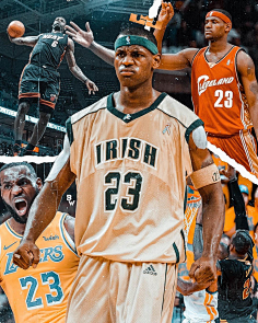 本质是中路 本质是中路